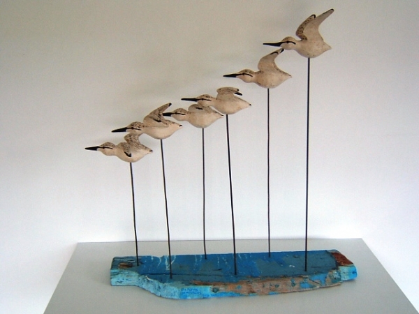 Guy Taplin - Six Sanderling