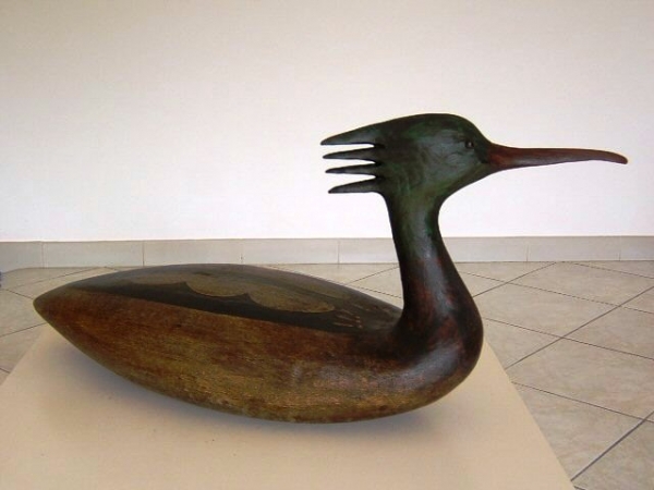Guy Taplin - Merganser