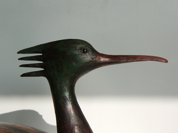 Guy Taplin - Merganser detail