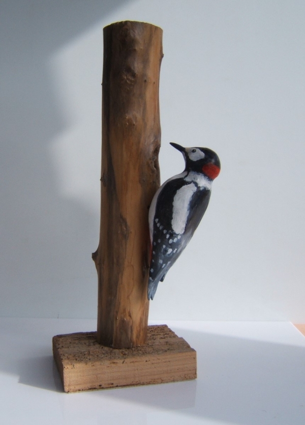 Tony Britnell - Woodpecker